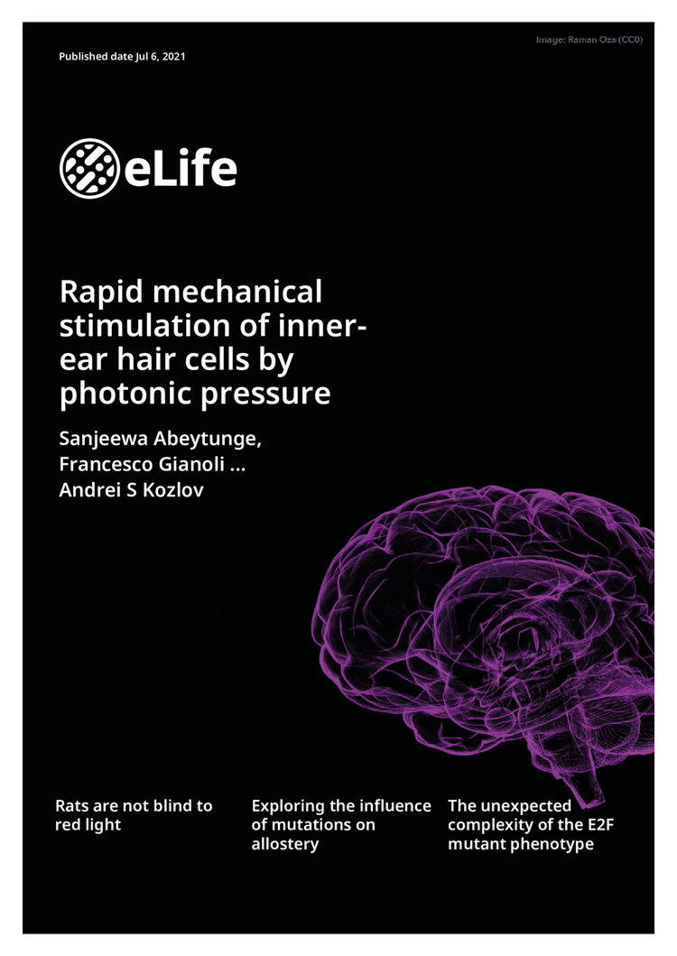 Light stimulation front page