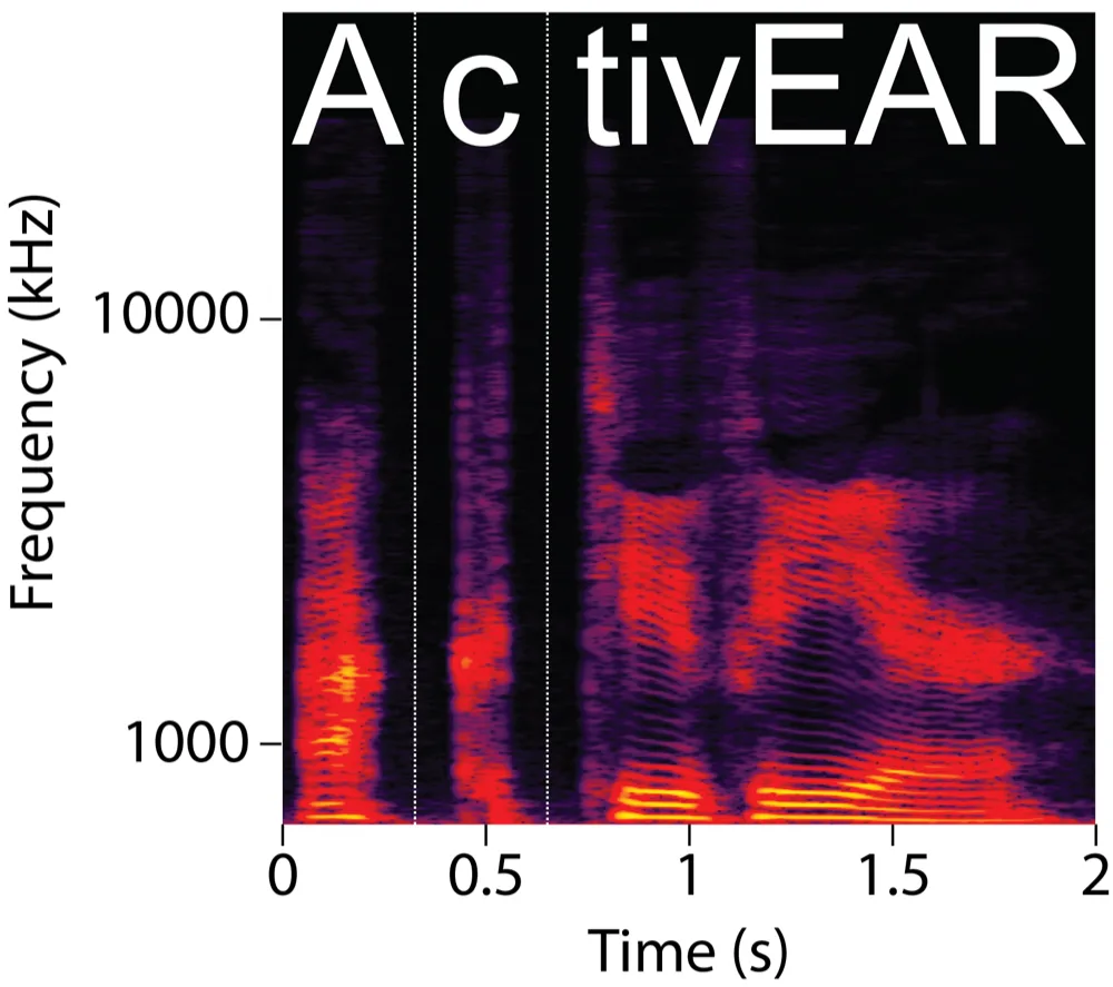 ActivEAR, awarded an ERC Starting Grant