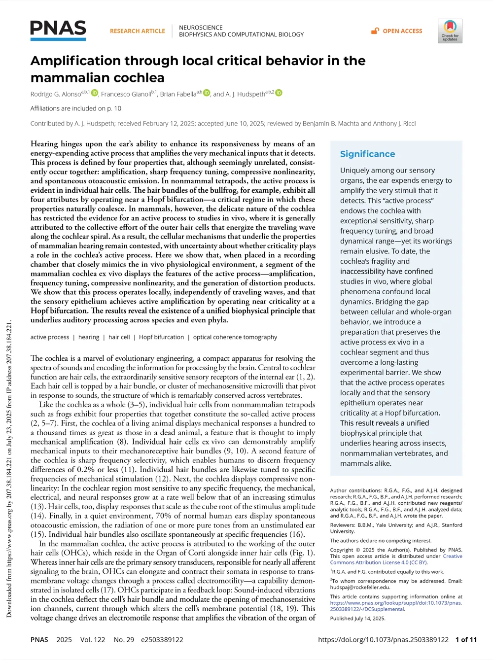 Amplification through criticality in the mammalian cochlea