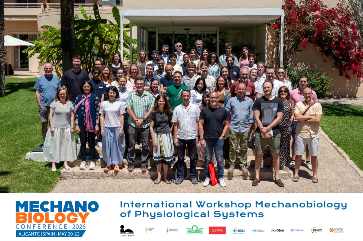 Group photo at the International Workshop on Mechanobiology of Physiological Systems, Alicante, May 2026